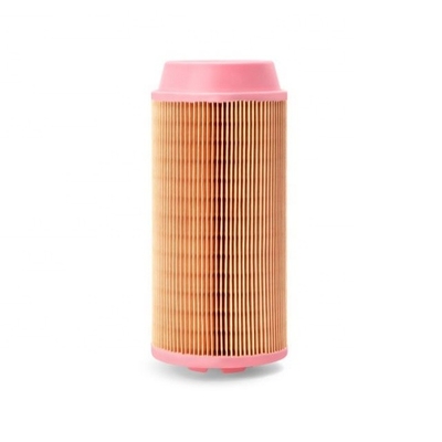 Filtro de ar de cartucho AV238 AF26386 6211455100 P778979 AF26387 2914930000 EPC046519 1319141