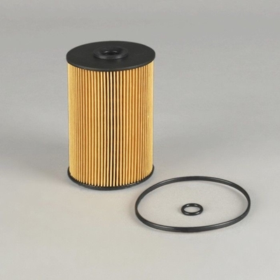 Outros equipamentos para automóveis EF-1301 Filtro de combustível FF5733 B222100000701 EF-1301