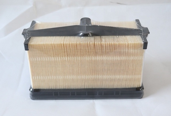 PA31011 Filtro de ar de hidrelétrico para caminhão Modelo de motor de escavadeira de trator Peças P636749 7010031