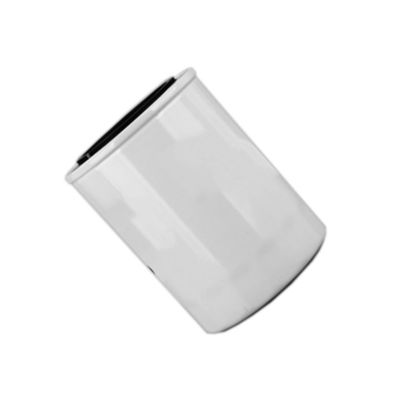 1000395855 WB202G Filtro de óleo para motor diesel no interior do Hydwell