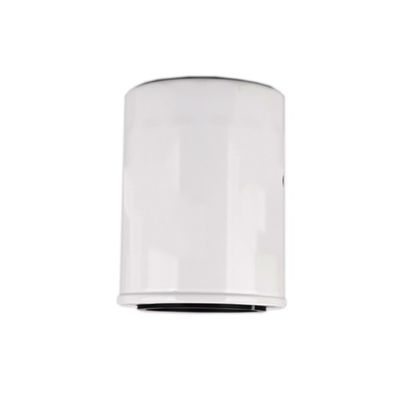 1000395855 WB202G Filtro de óleo para motor diesel no interior do Hydwell