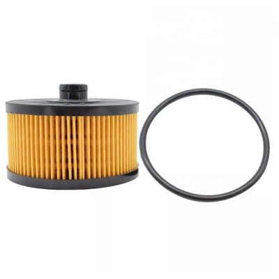 152095084R Hydwell Truck Engine Parts Lubrificante de filtro de óleo para outros tractores de ano