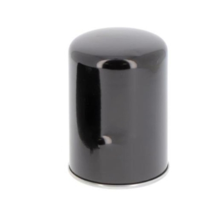 Outros equipamentos para automóveis T19044 P550020 706 DZ112584 5276312 60231037 2311200 77010793 Filtro de óleo
