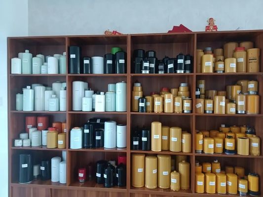 Filtro de combustível para escavadeira 17201956 140D ECR58D ECR88D SN55087 SK48598 para modelo de camião