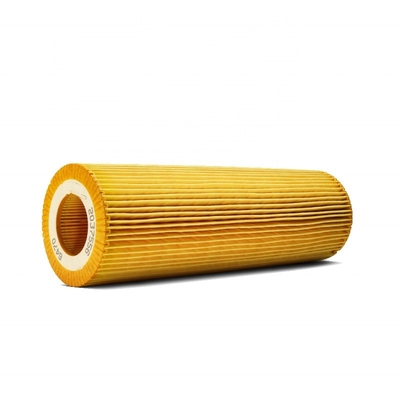 2037556 2625884 P953329 LF17486 1742032 1742037 1537041 Filtro de óleo para motores DC9