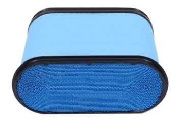 AL172781 AL150285 542794 C33530 AF26156 P606120 Filtro de ar para motores