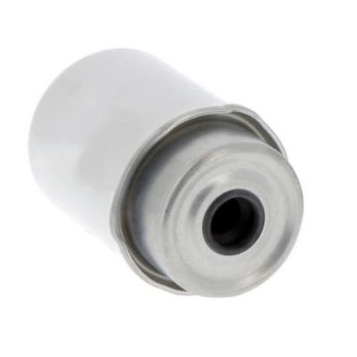 Elemento de filtro de combustível P551434 5198956 320A7124 RE526319 12750603 para camião FS551434